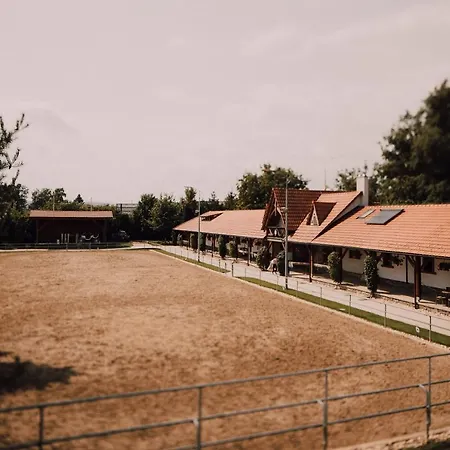 Vendégház Zwicker Eperjes