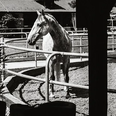 Vendégház Zwicker 4*