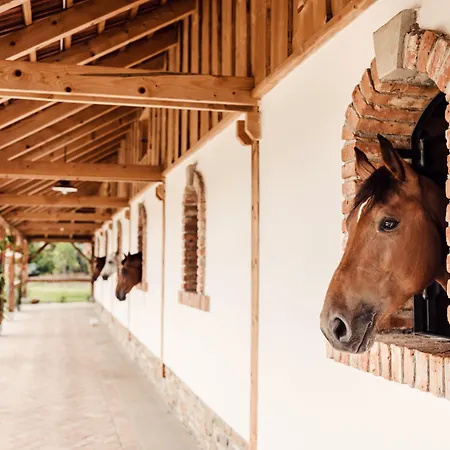 Zwicker Vendégház Eperjes