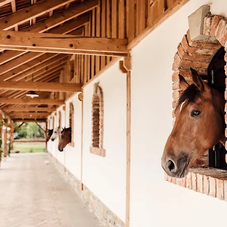 Vendégház Zwicker 4*